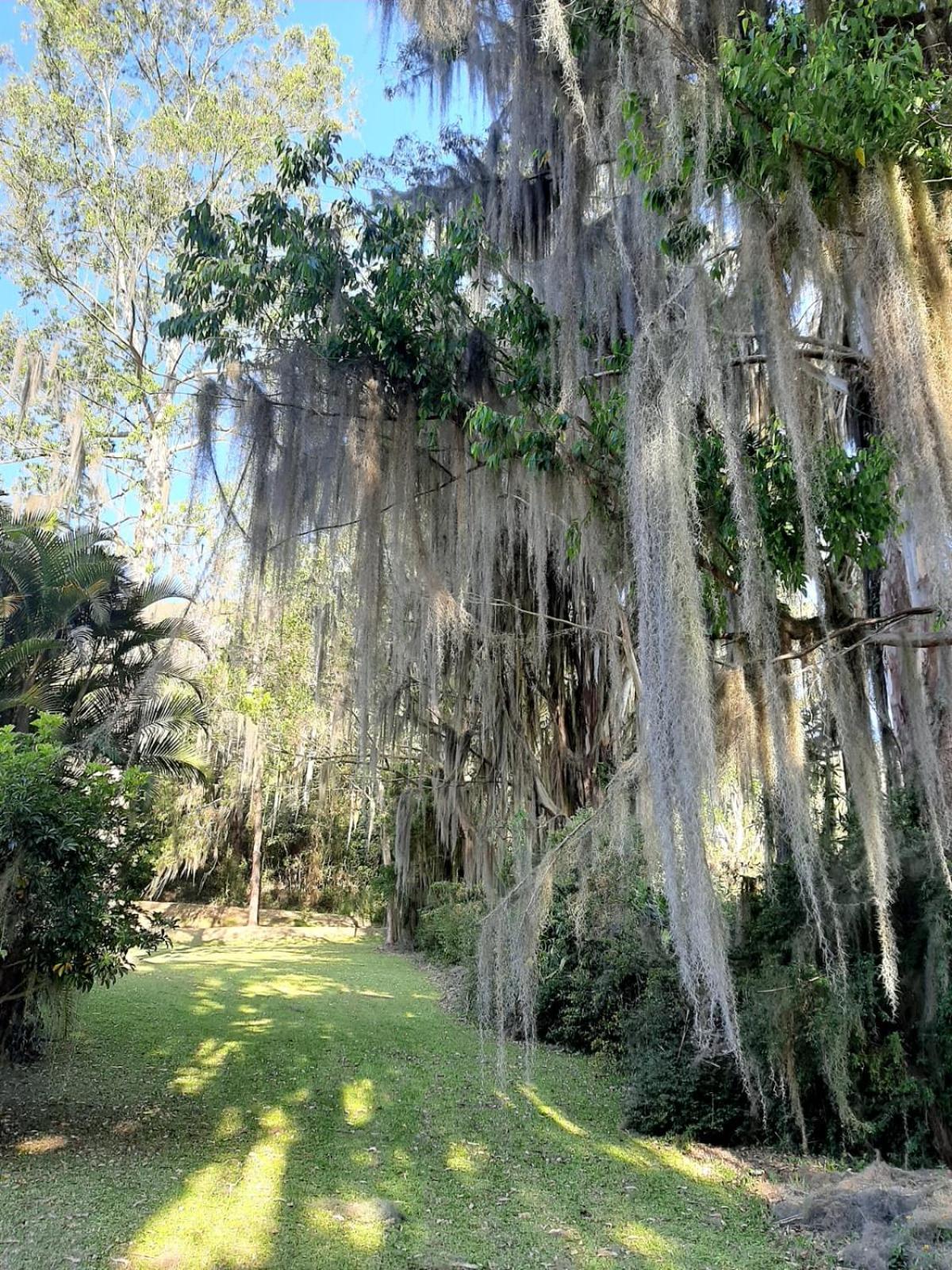 Sitio Riacho Das Pedras Teresópolis Exteriör bild
